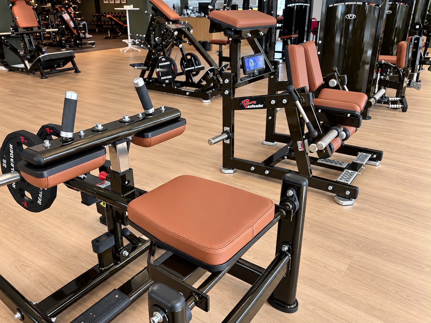 Krafttrainingsbereich im Rambos Gym